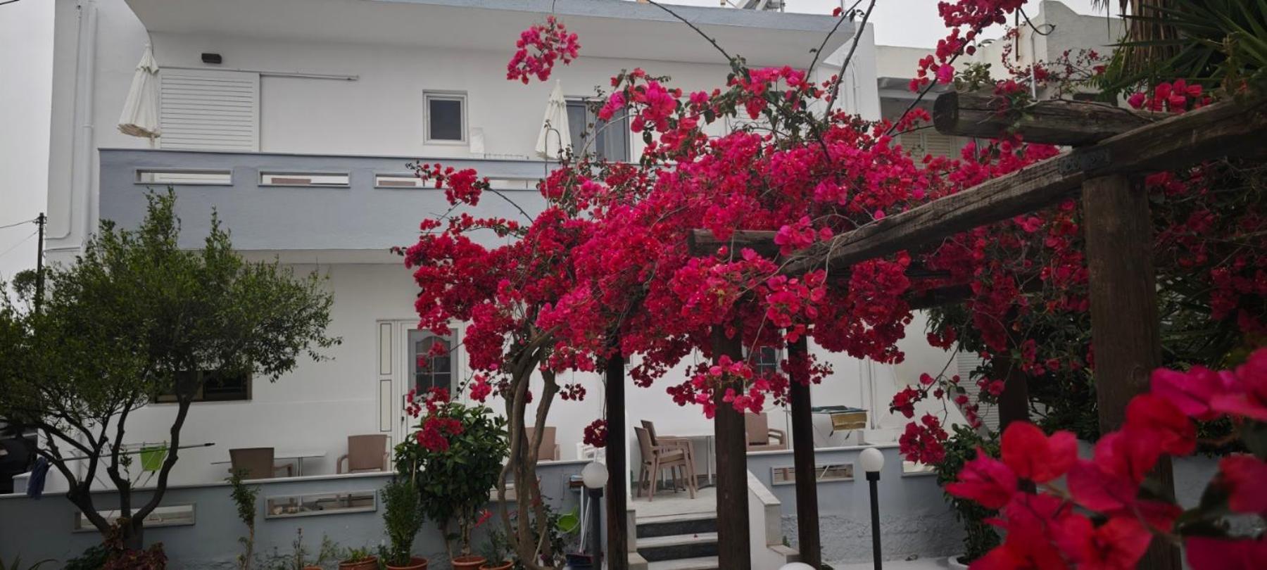 Apartment Agrellis